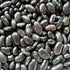Homestead Seed CSA Share